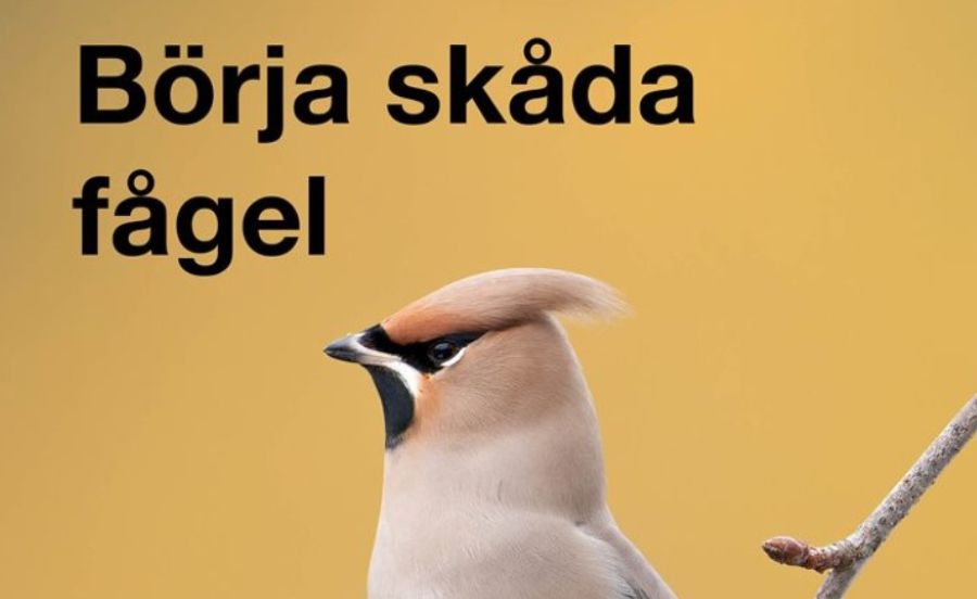 En fågel. Ovanför fågeln står texten: Börja skåda fågel