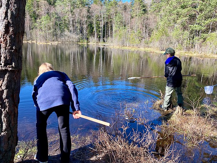 Barn står med en håv i närheten av en sjö.