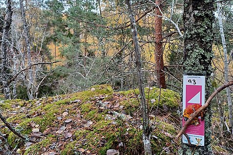 Checkpoint i form av en symbol, placerad intill en sten i ett skogsparti i Väsby.