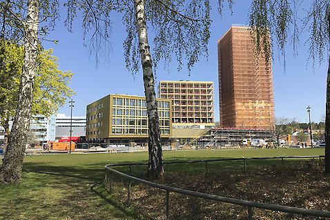 Blå Parken på södra sidan om Väsby centrum och som utgör parkmiljö i det nya bostadsområdet Fyrklövern.
