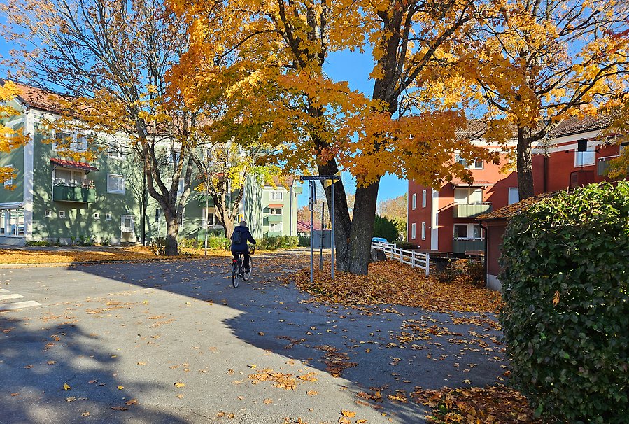 Bostadsområde i höstfärger