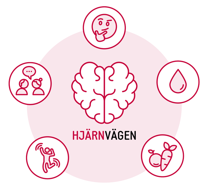 En symbol i form av en hjärna illustrerad i röda färger tillsammans med fem olika symboler kopplat till hälsoområden i en livsstilsförändring.